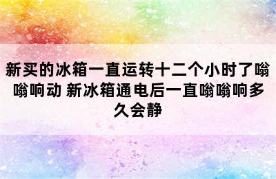 新买的冰箱一直运转十二个小时了嗡嗡响动 新冰箱通电后一直嗡嗡响多久会静